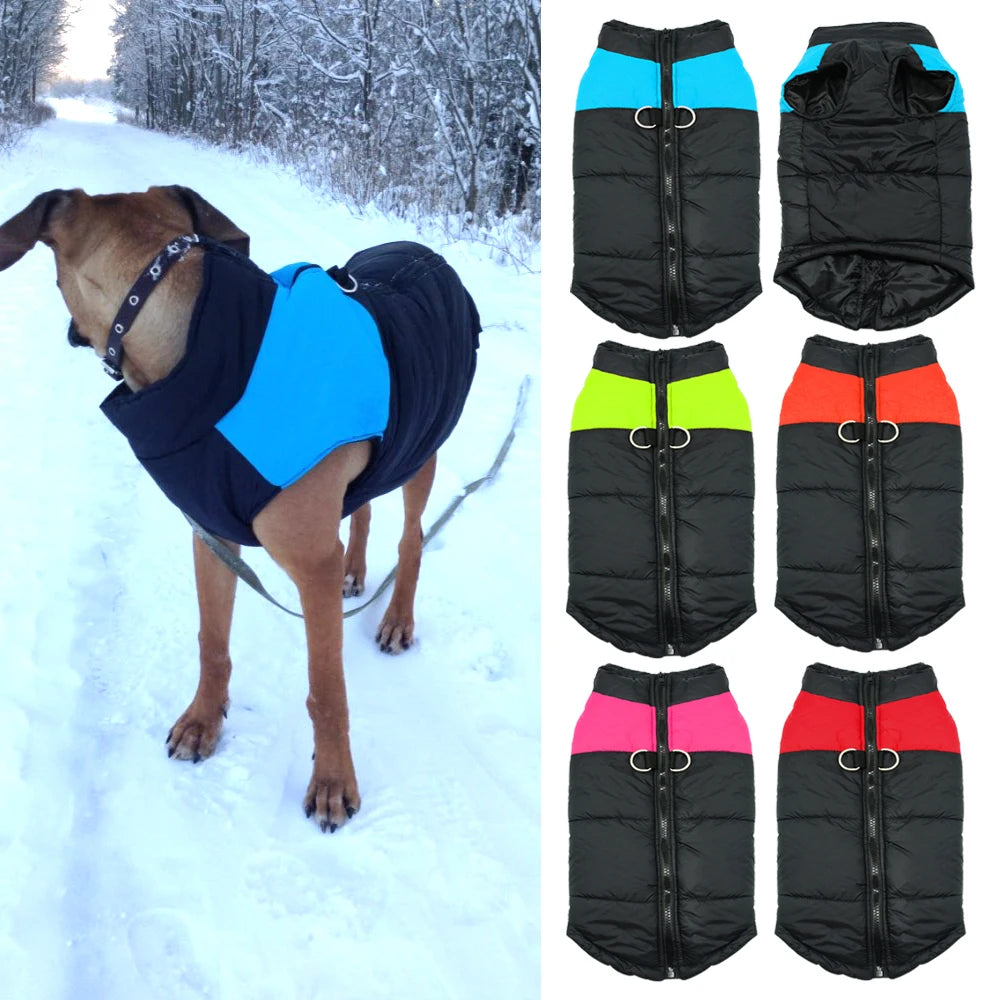 Cozy Winter Dog Jackets - Stylish & Warm Vests for Small to Large Breeds - Available in 4 Colors & Sizes S-5XL