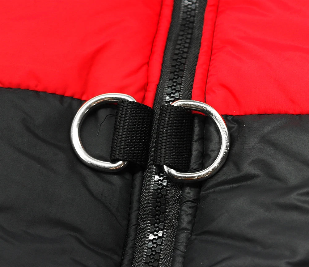 Cozy Winter Dog Jackets - Stylish & Warm Vests for Small to Large Breeds - Available in 4 Colors & Sizes S-5XL