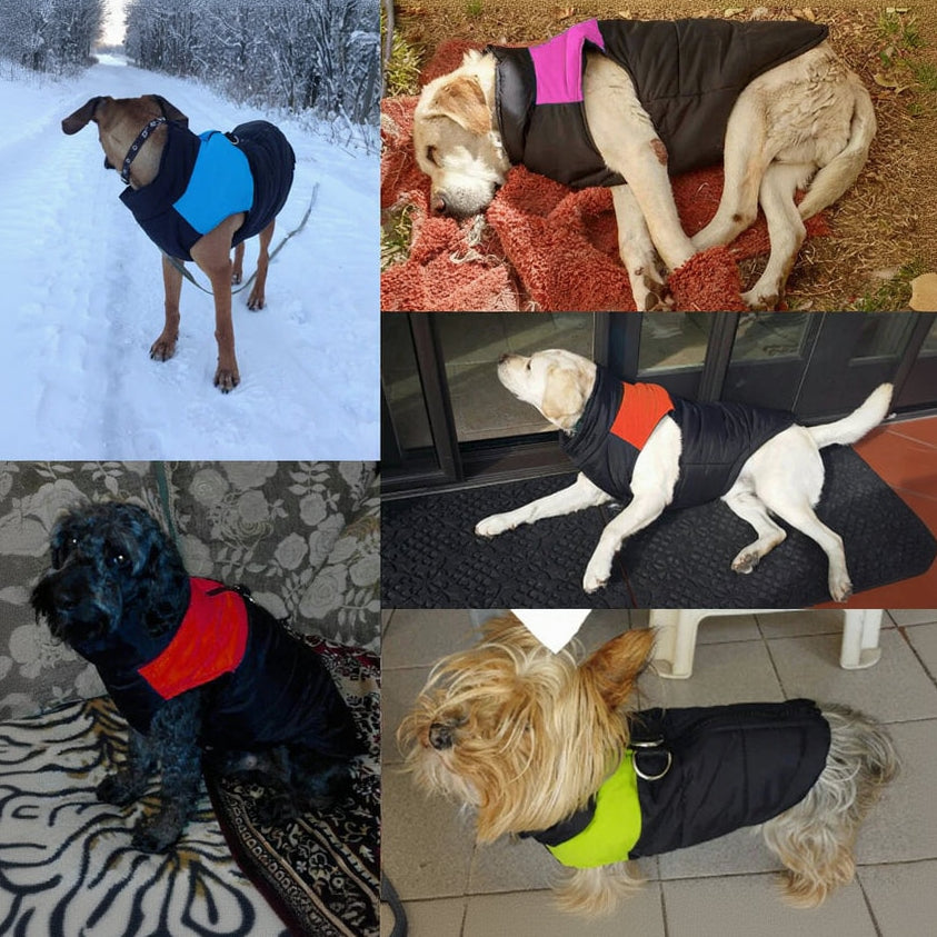 Cozy Winter Dog Jackets - Stylish & Warm Vests for Small to Large Breeds - Available in 4 Colors & Sizes S-5XL