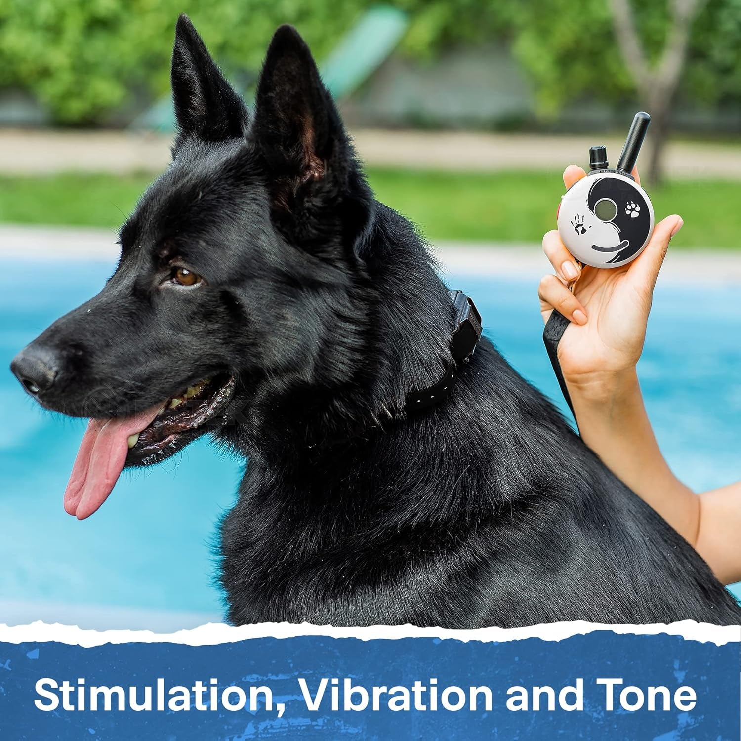 ET-300ZEN Waterproof Remote Dog Trainer - 1/2 Mile Range with Static, Vibration & Sound Stimulation + Petstek Clicker